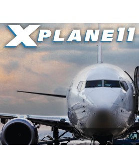 X-Plane 11 Digital Download Key GLOBAL